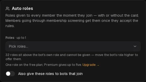 Auto roles.